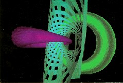 Space-Time on the computer